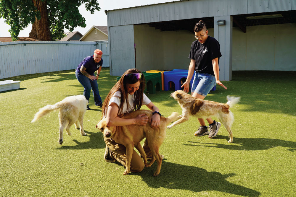 Best puppy clearance daycare