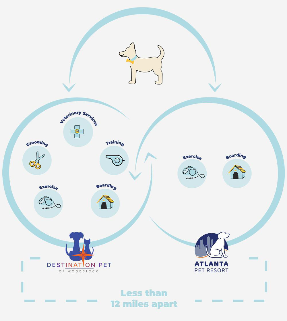 Connected care vet diagram