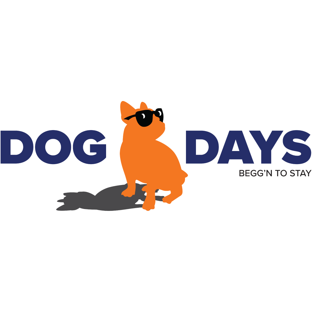 Midtown dog hot sale daycare