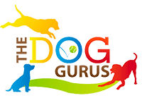 Dog Gurus