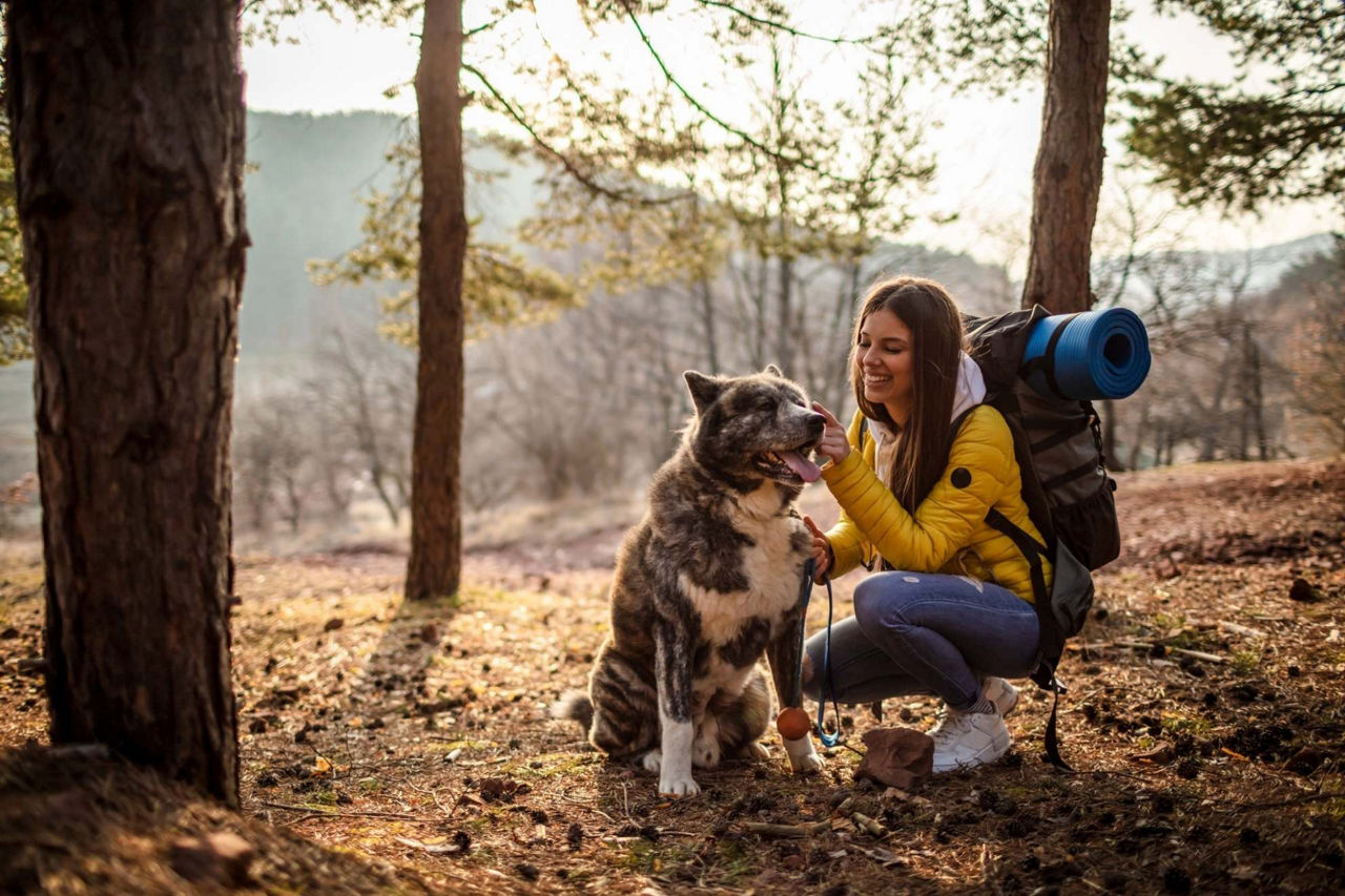dog hiking together with trainer