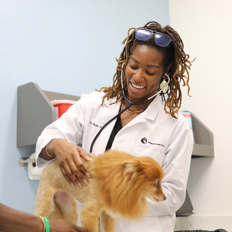 Small store pet vet