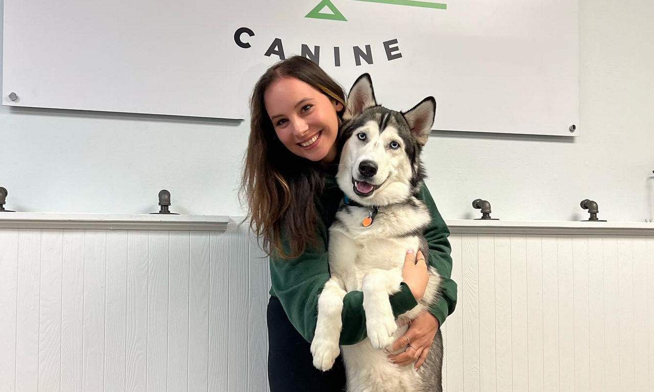 Staff with a husky