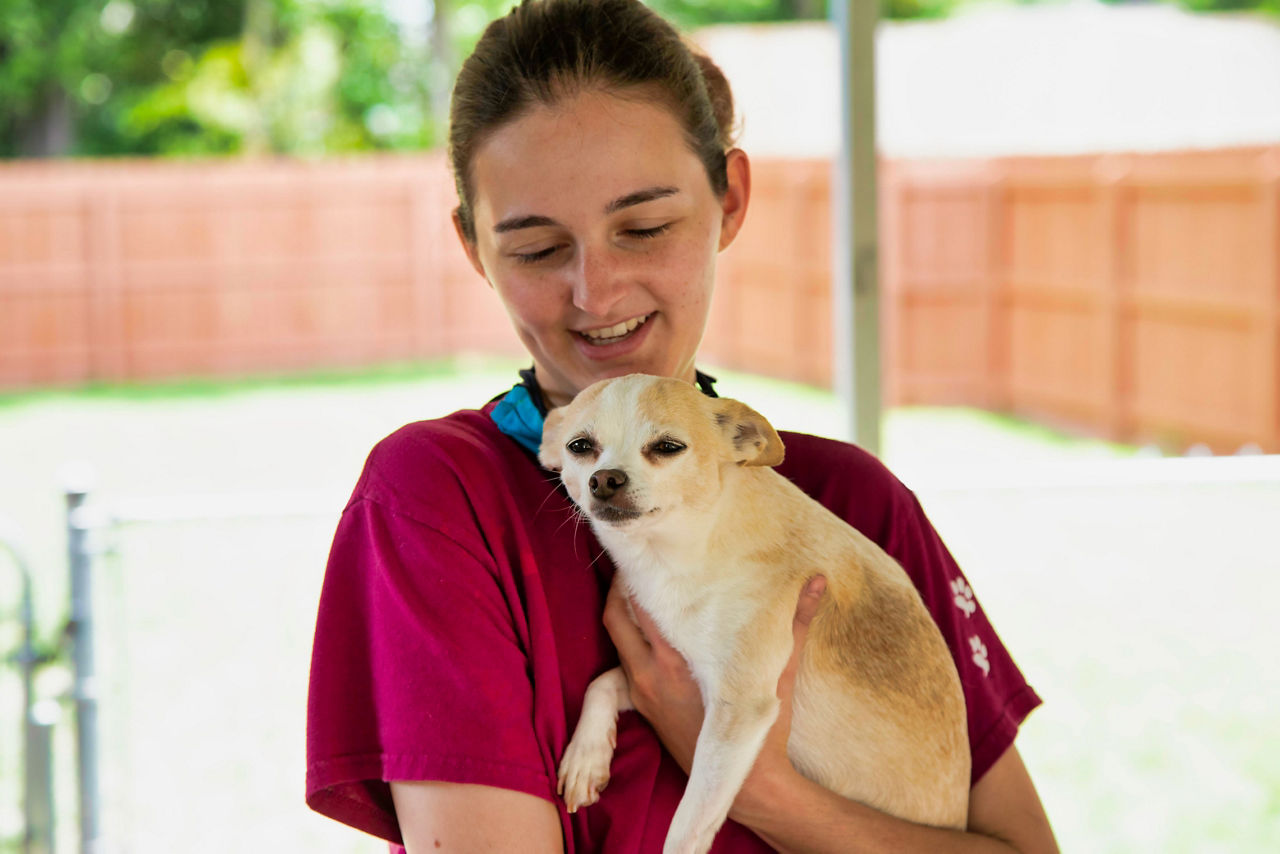 employee with dog