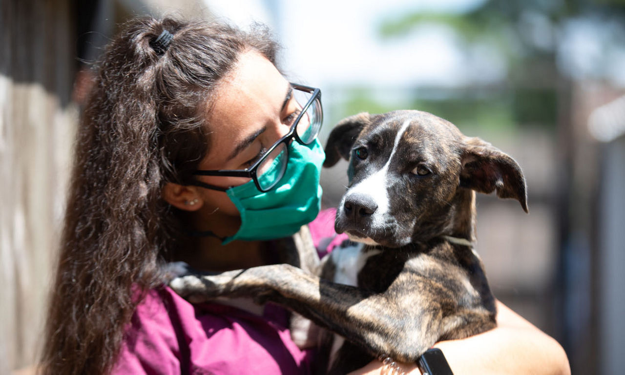 employee with dog