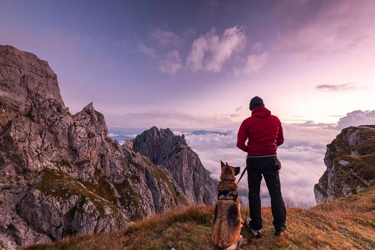 dog with trainer at beautiful place