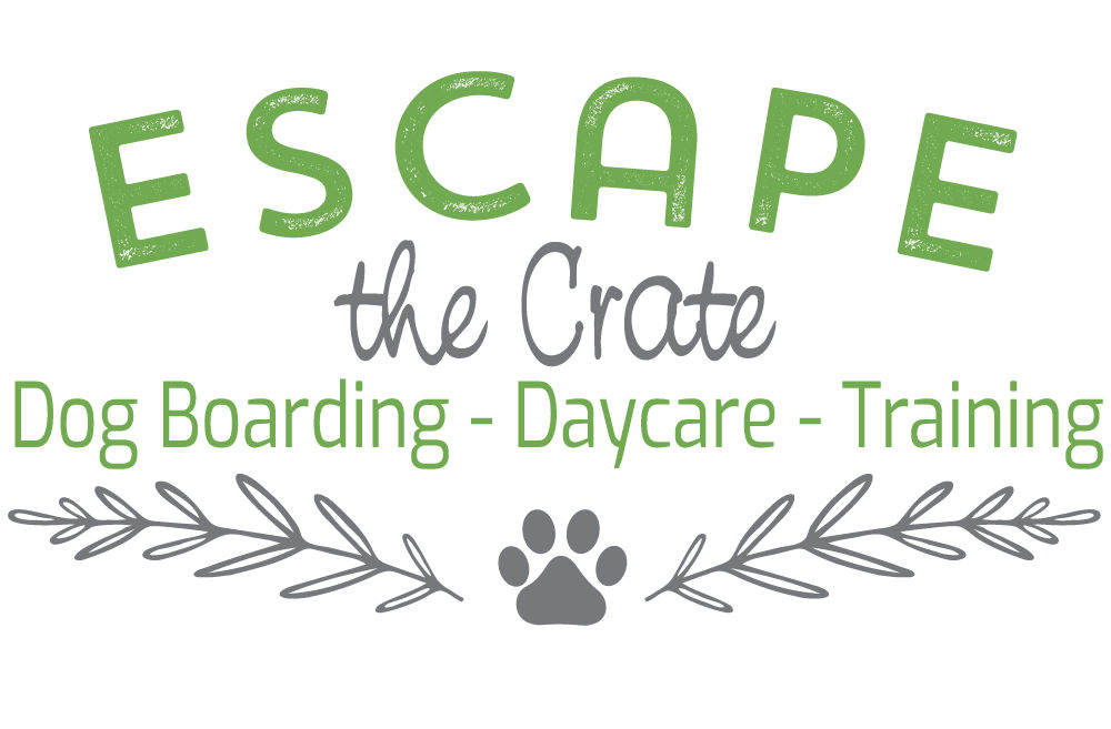 Escape the Crate logo