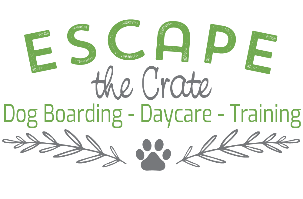 Escape the Crate logo