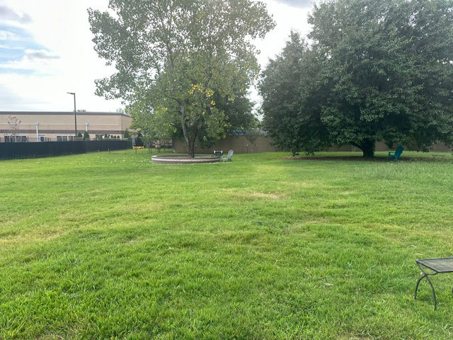 dog park field