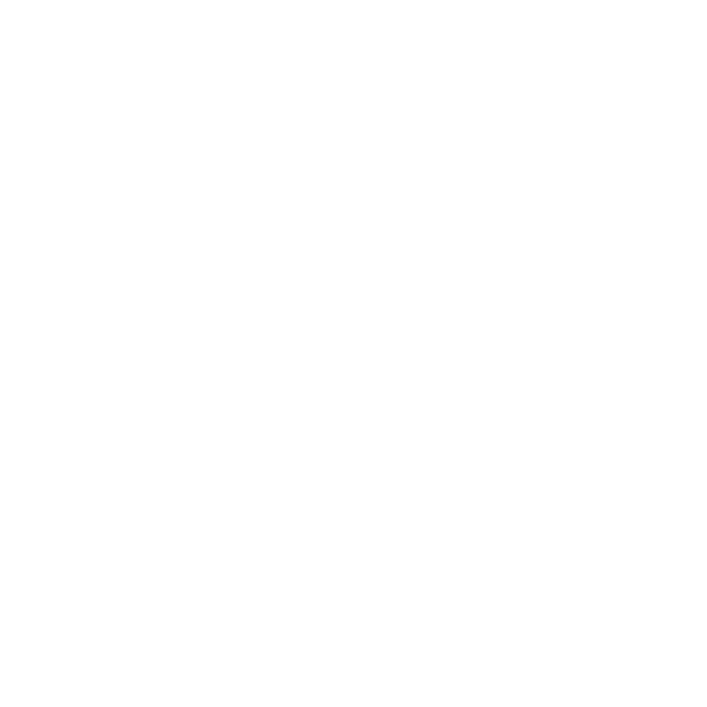 Dog Spot Hotel Logo