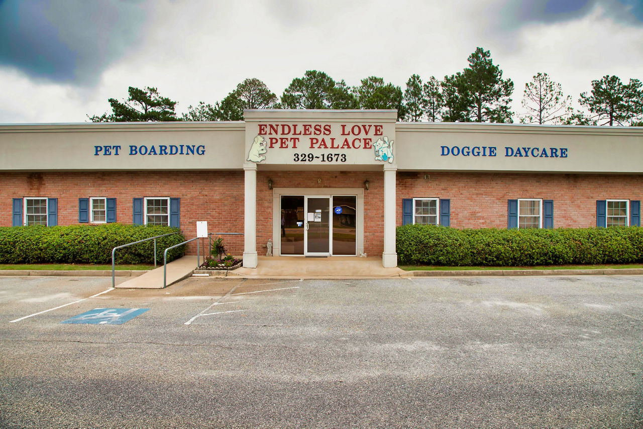 Pet store palace boarding