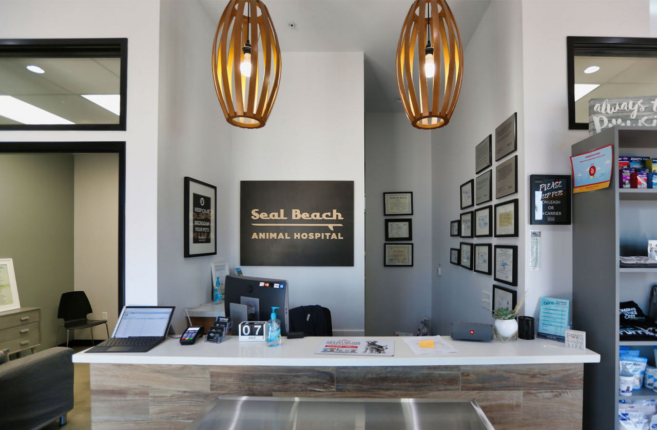 Front desk Seal beach