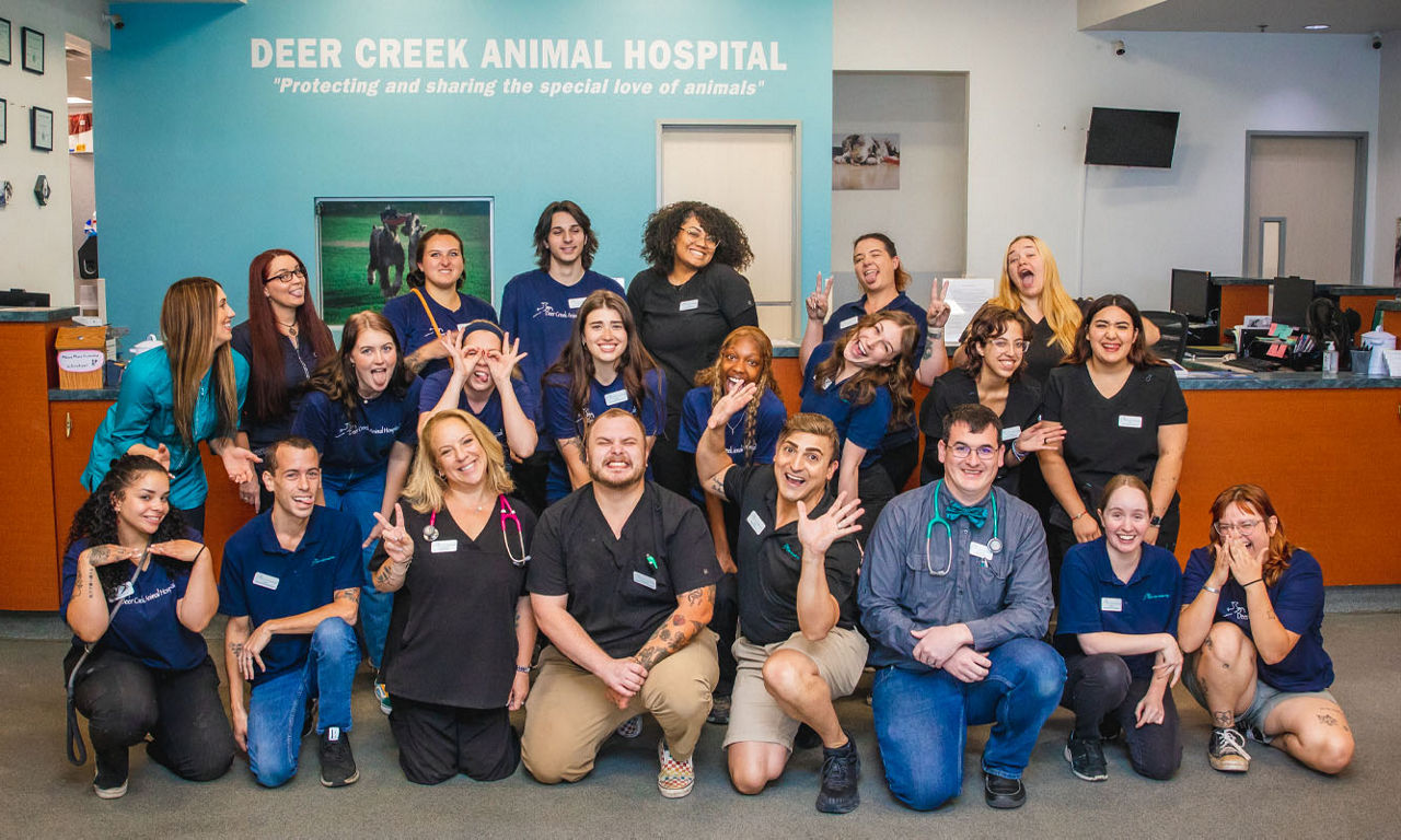 Deer Creek Animal Hospital staff