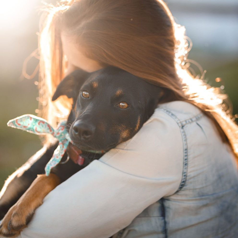 dog with trainer