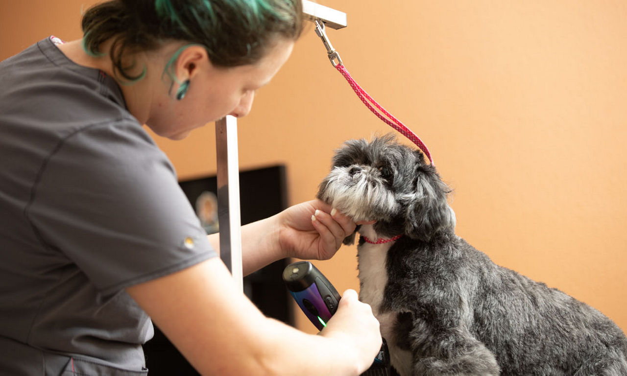 Groomer with puppy