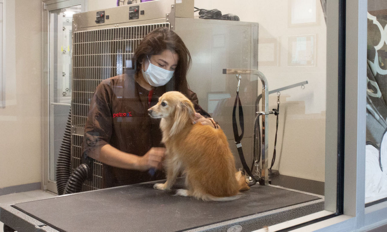 Groomer with Dog