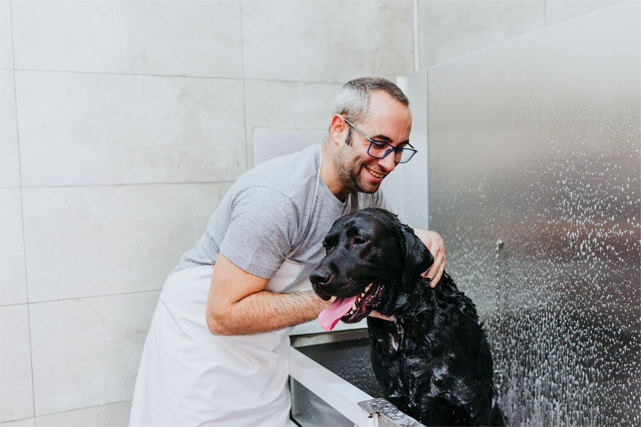 Groomer bathing black dog.