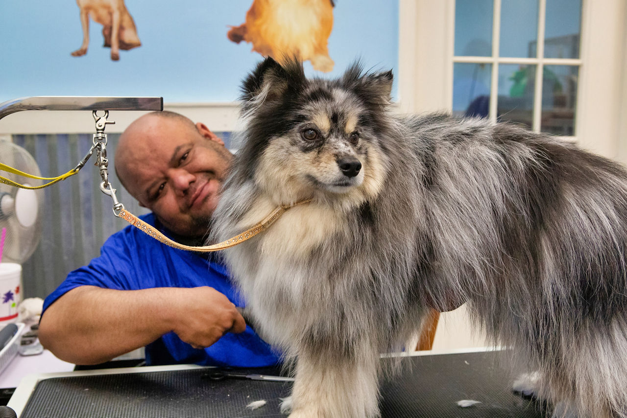 Groomer with dog