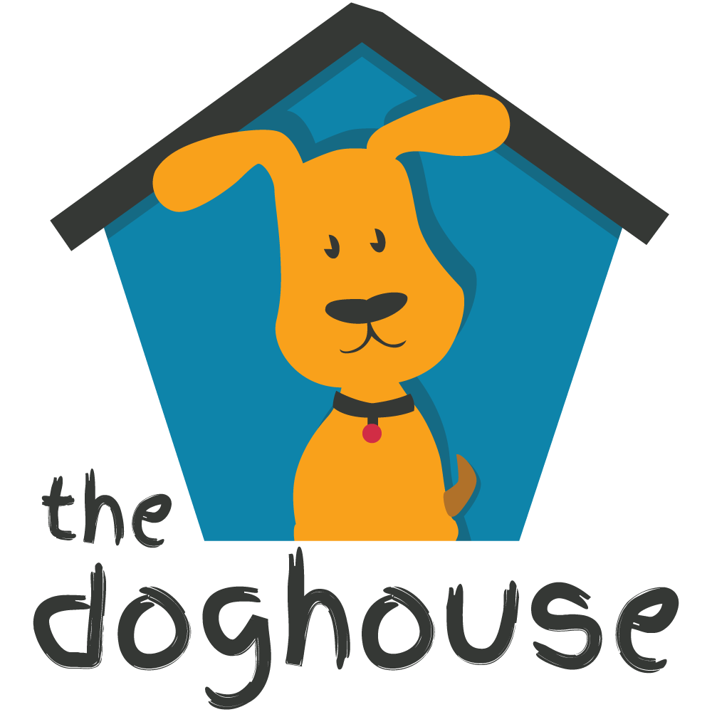 The dog best sale house grooming prices