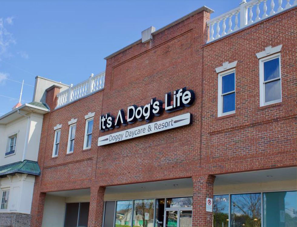It's A Dog's Life Doggy Daycare & Resort