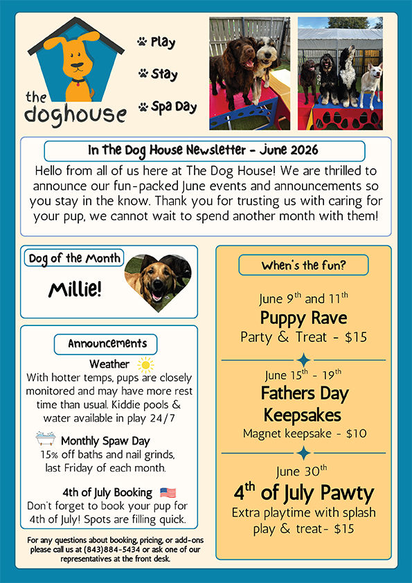 Monthly Newsletter, Monthly Newsletter