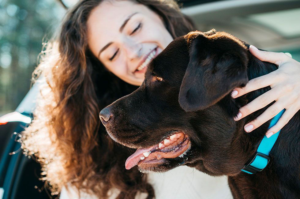 Healthy pet with woman