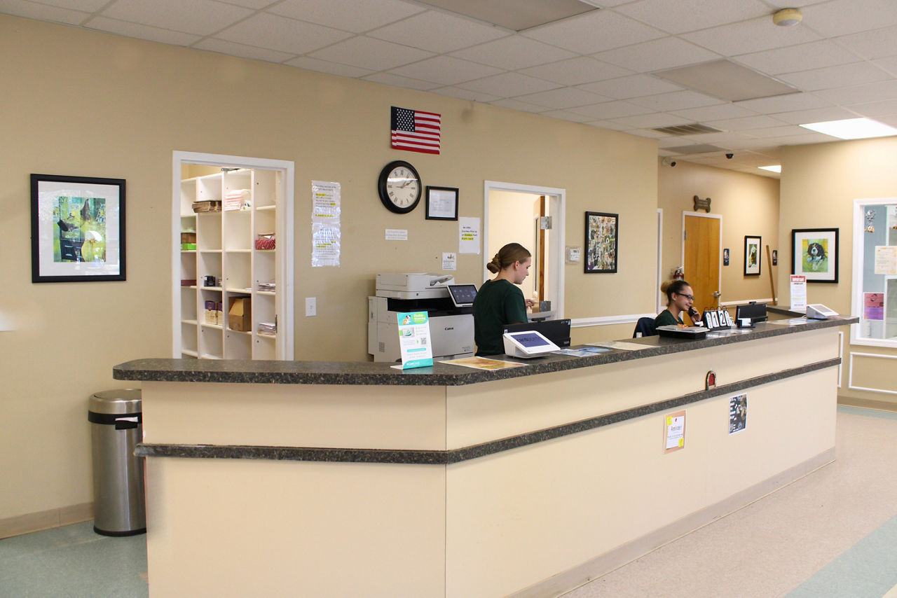 Uberdog front desk and reception area