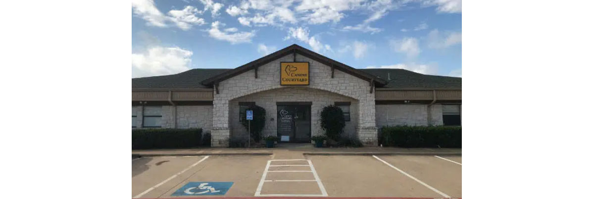 Canine Courtyard Lewisville