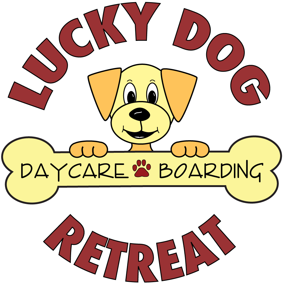 Lucky dog 2024 dog daycare