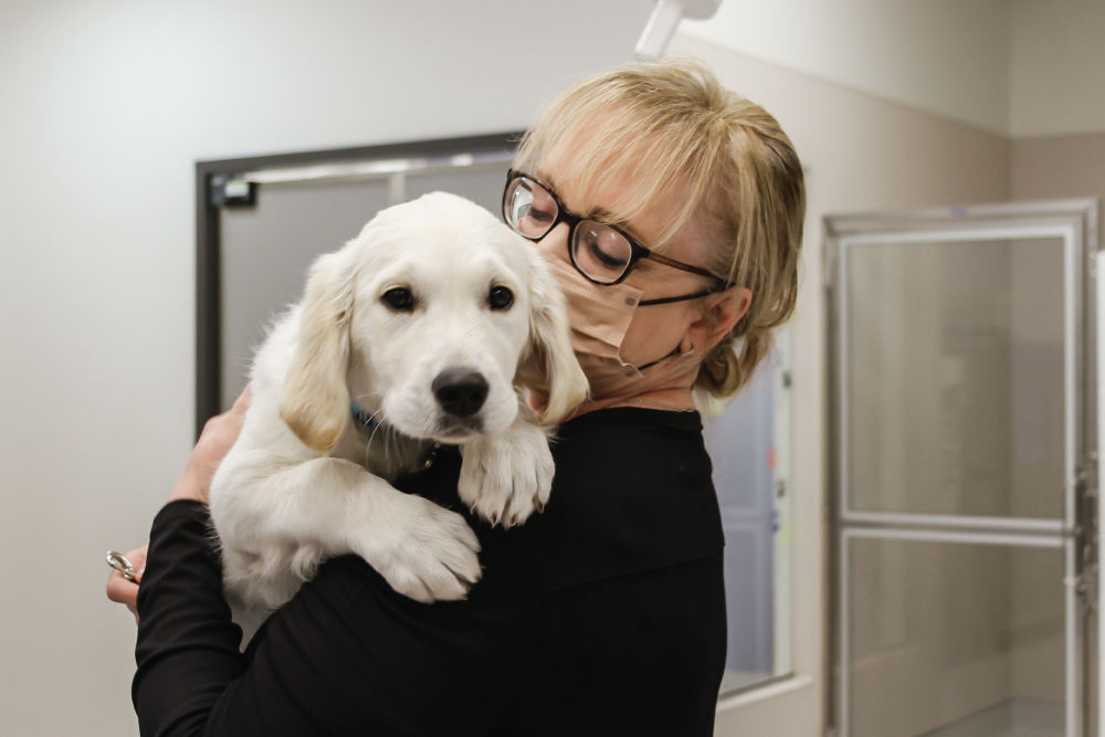 Woman holding white puppy