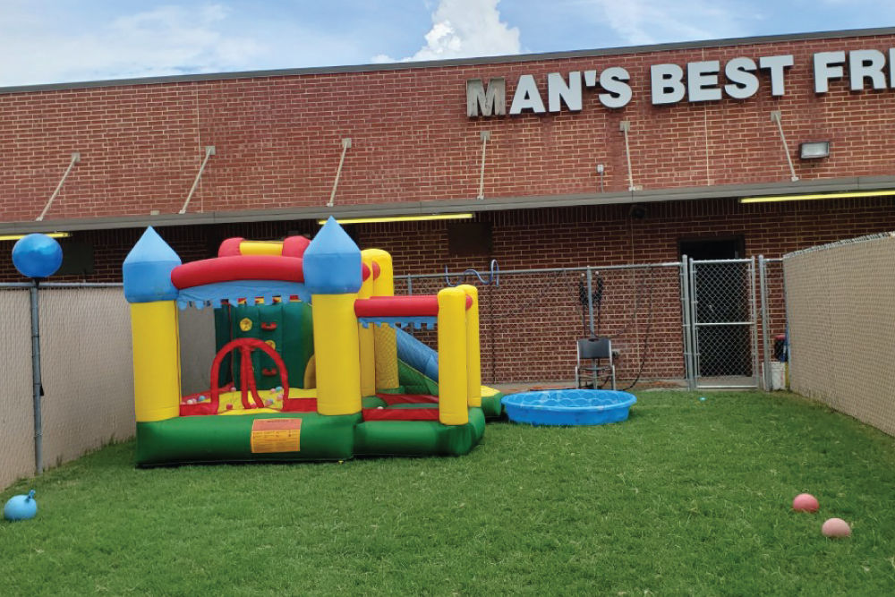 Bouncy house in play yard.