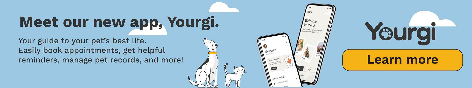 yourgi banner