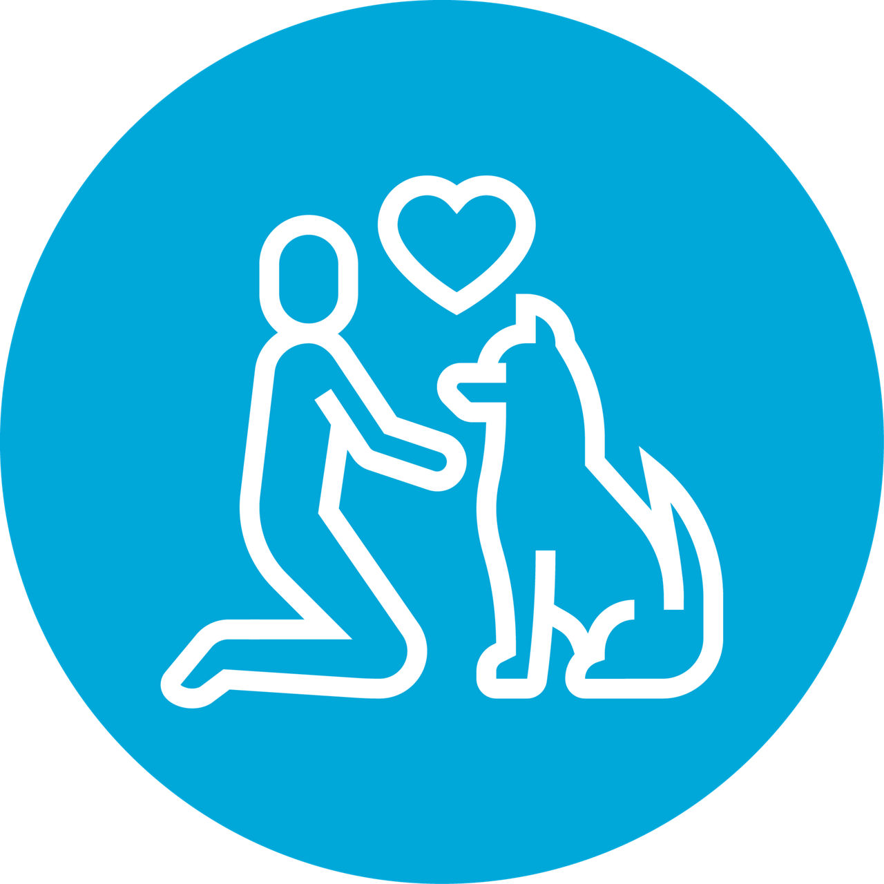 Dog chewing on rope toy.