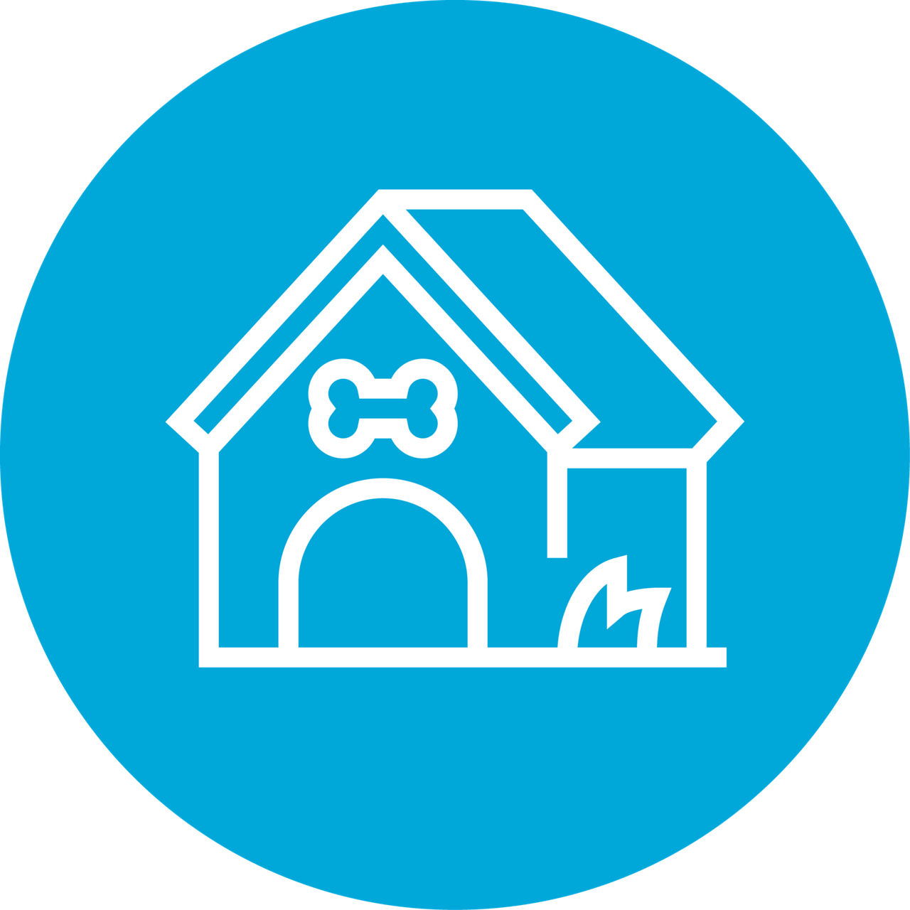 French bulldog laying in dog bed.