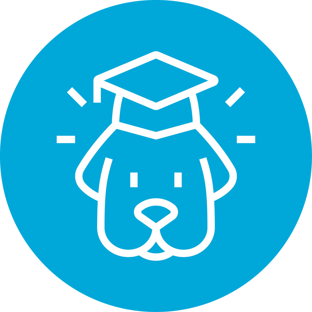 Black and white dog sitting in front of trainer.