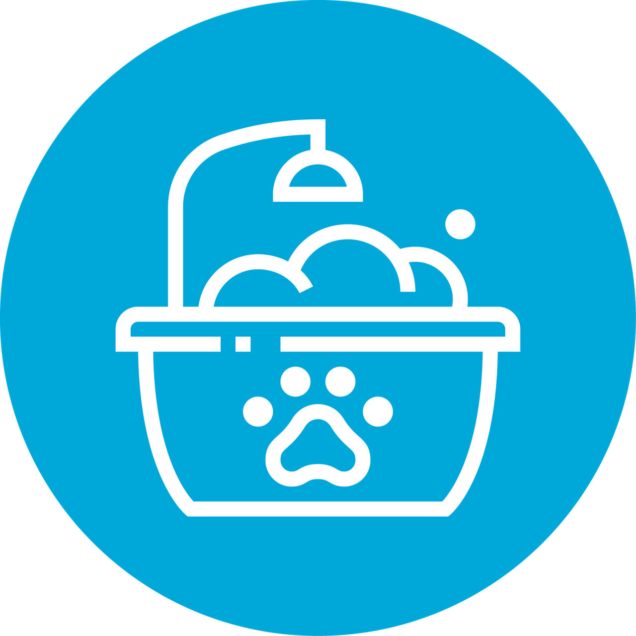 Corgi happily being bathed.