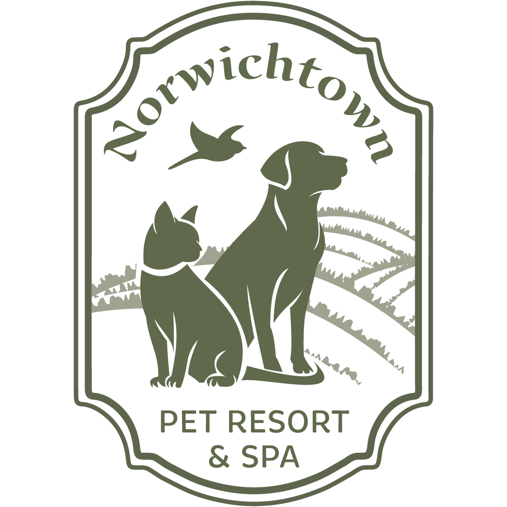 Norwichtown Pet Resort and Spa