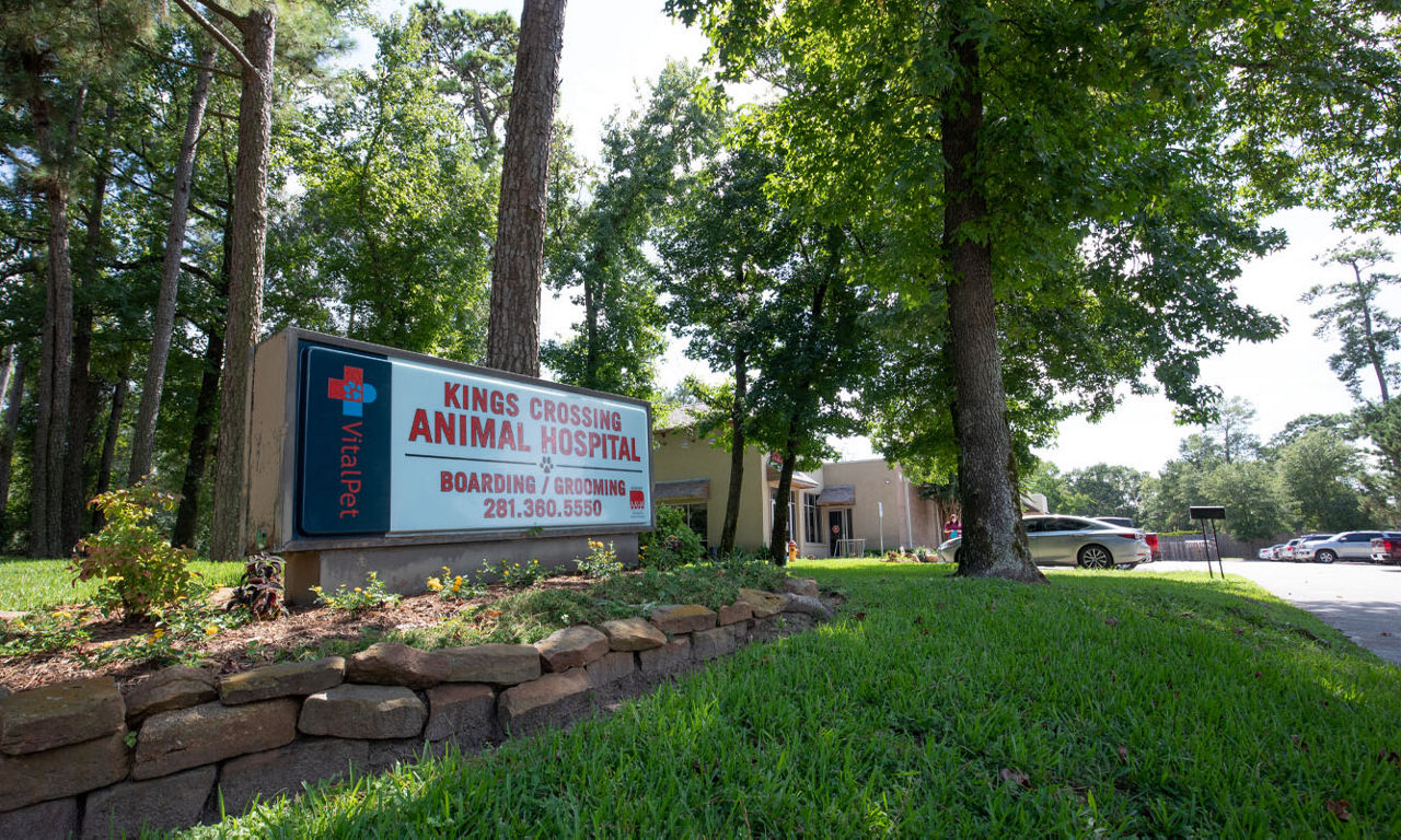 outdoor sign Kings Crossing Animal Hospital