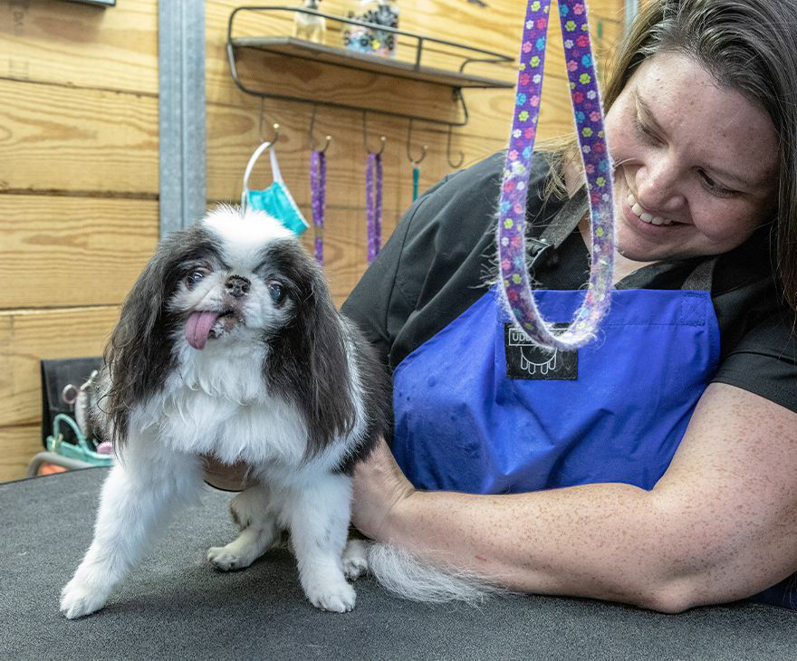 groomer with dog