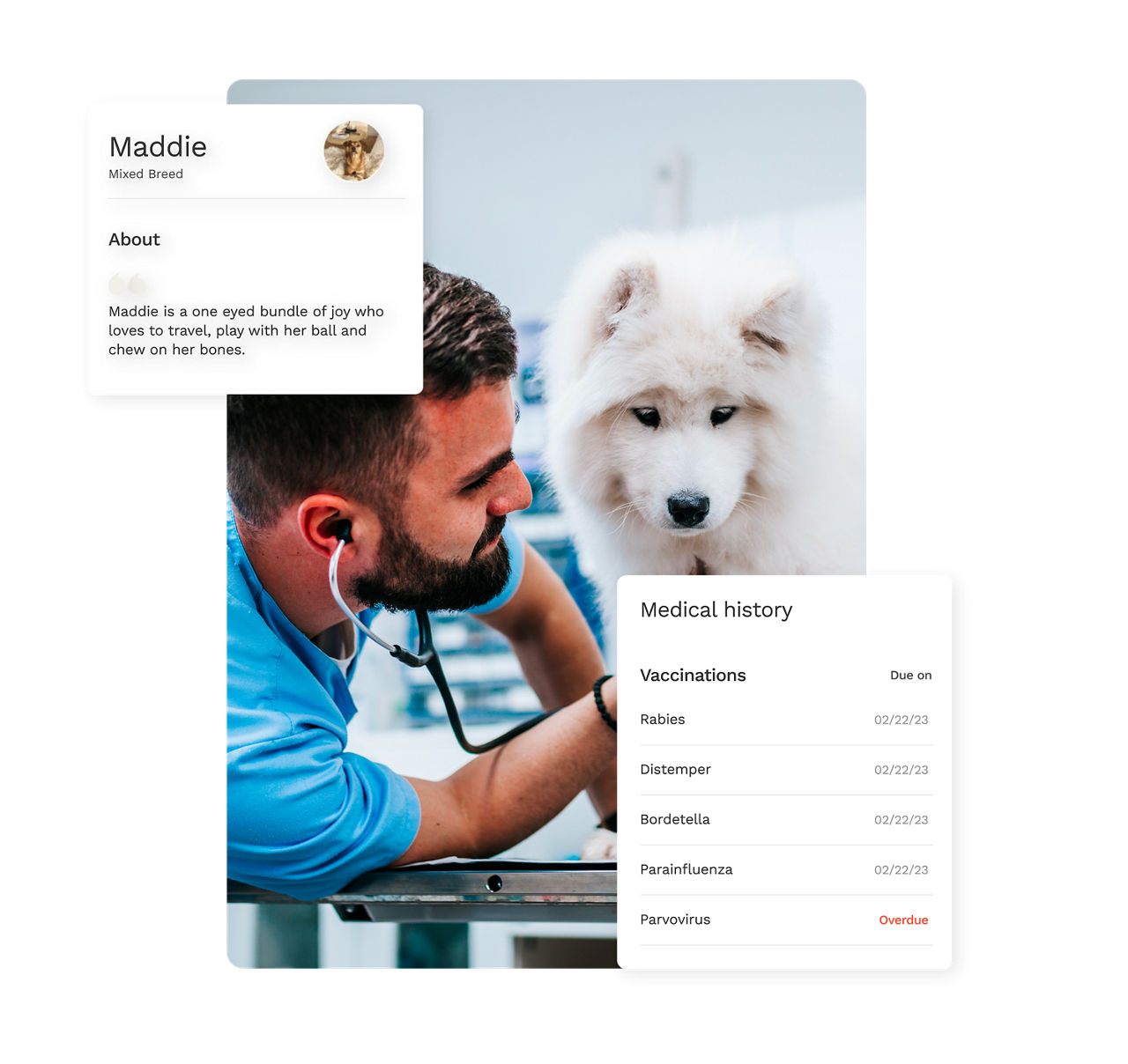 Yourgi Your Guide to Your Pet's Best Life