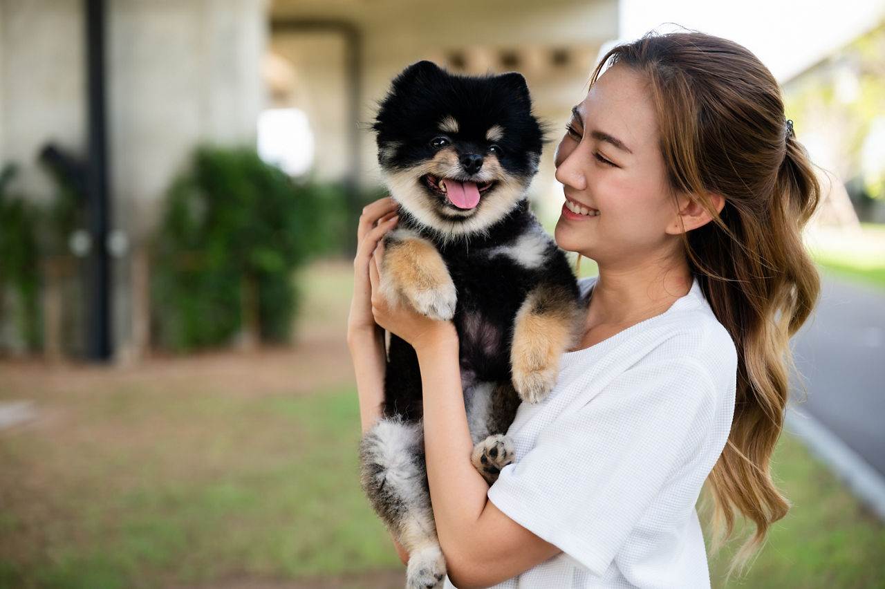 Happy young asian woman playing and sitting on road in the park with her dog. Pet lover concept