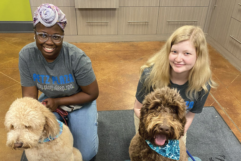 Petz Plaza staff sitting with dogs