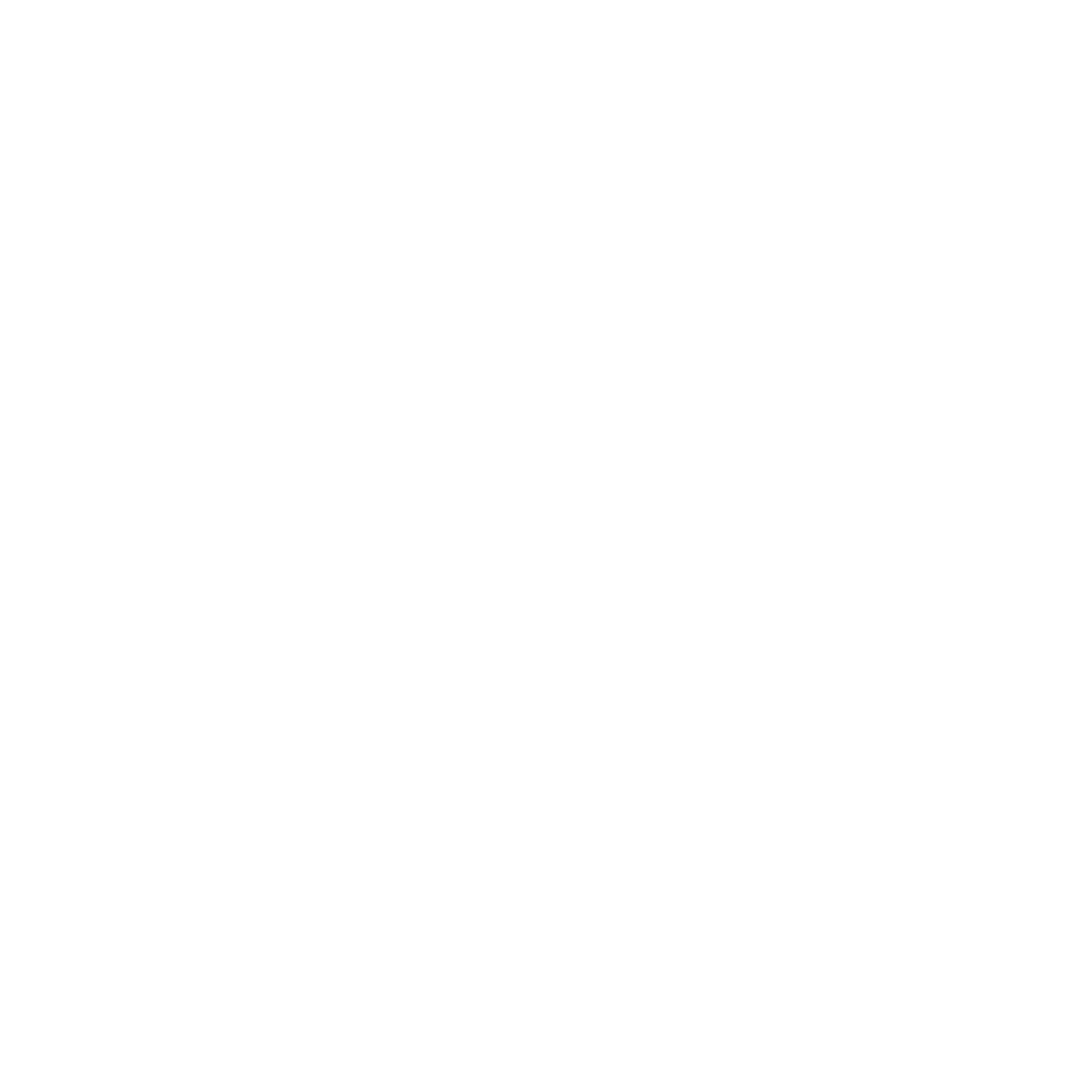 Petz Plaza Logo