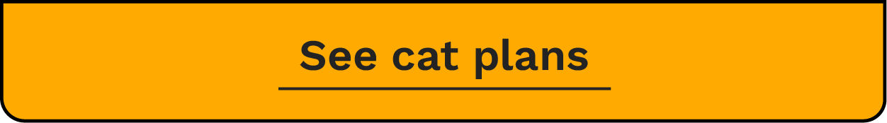 cat plans