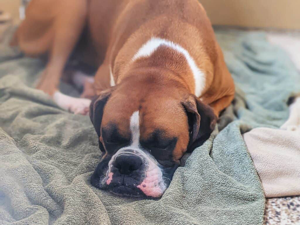 Uberdog front desk and reception area