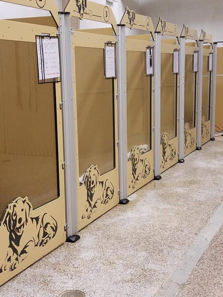 Boarding Kennels