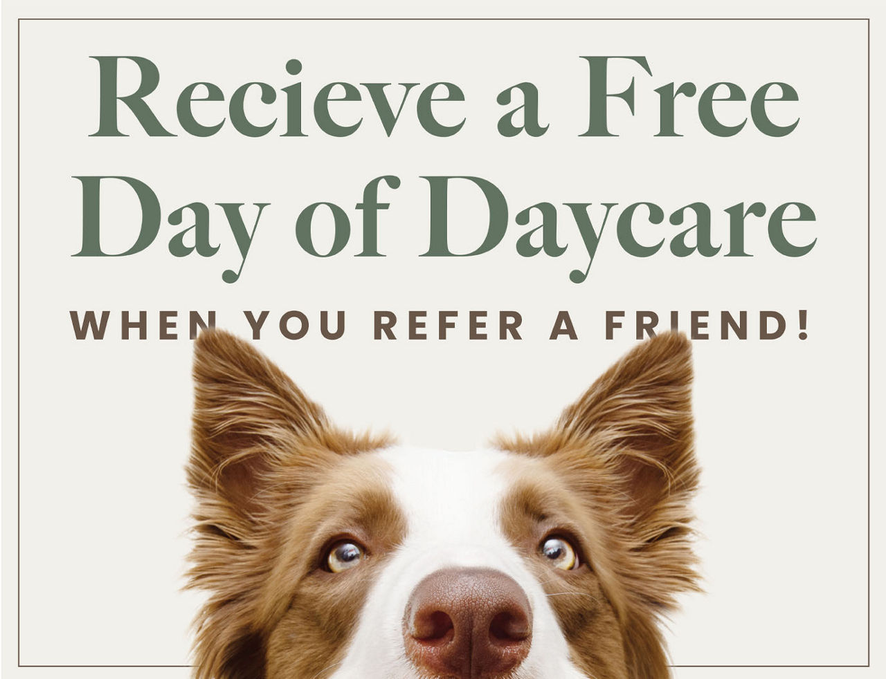 Daycare referral image