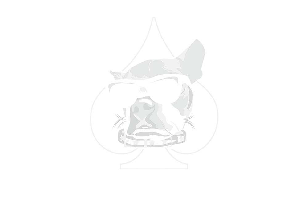 Rockstar Pets Chicago Logo