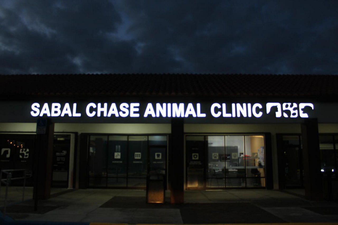 Sabal Chase Animal Clinic