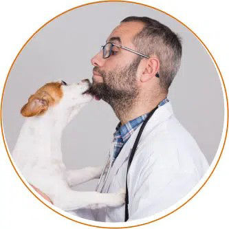 vet with dog